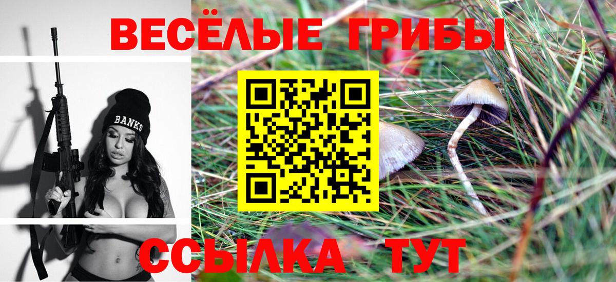 Псилоцибиновые грибы мицелий Белая Калитва