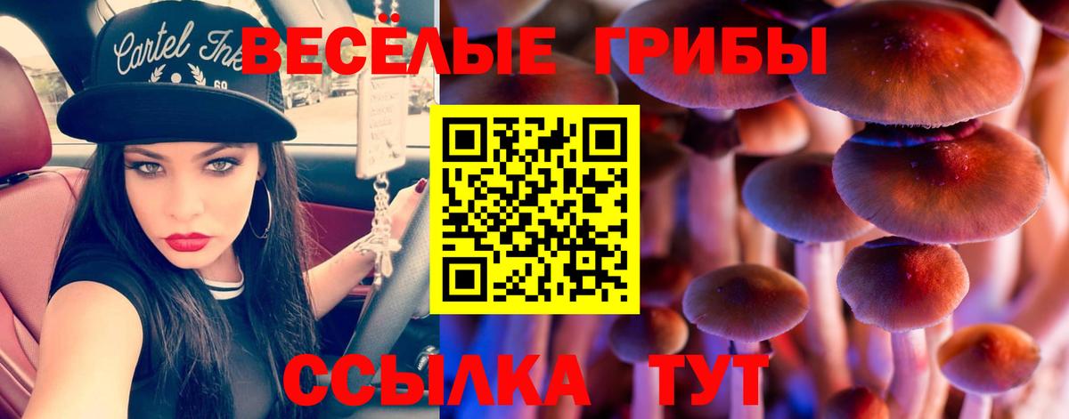 Галлюциногенные грибы MAGIC MUSHROOMS  Вход с VPN  Белая Калитва  Псилоцибиновые грибы MAGIC MUSHROOMS 